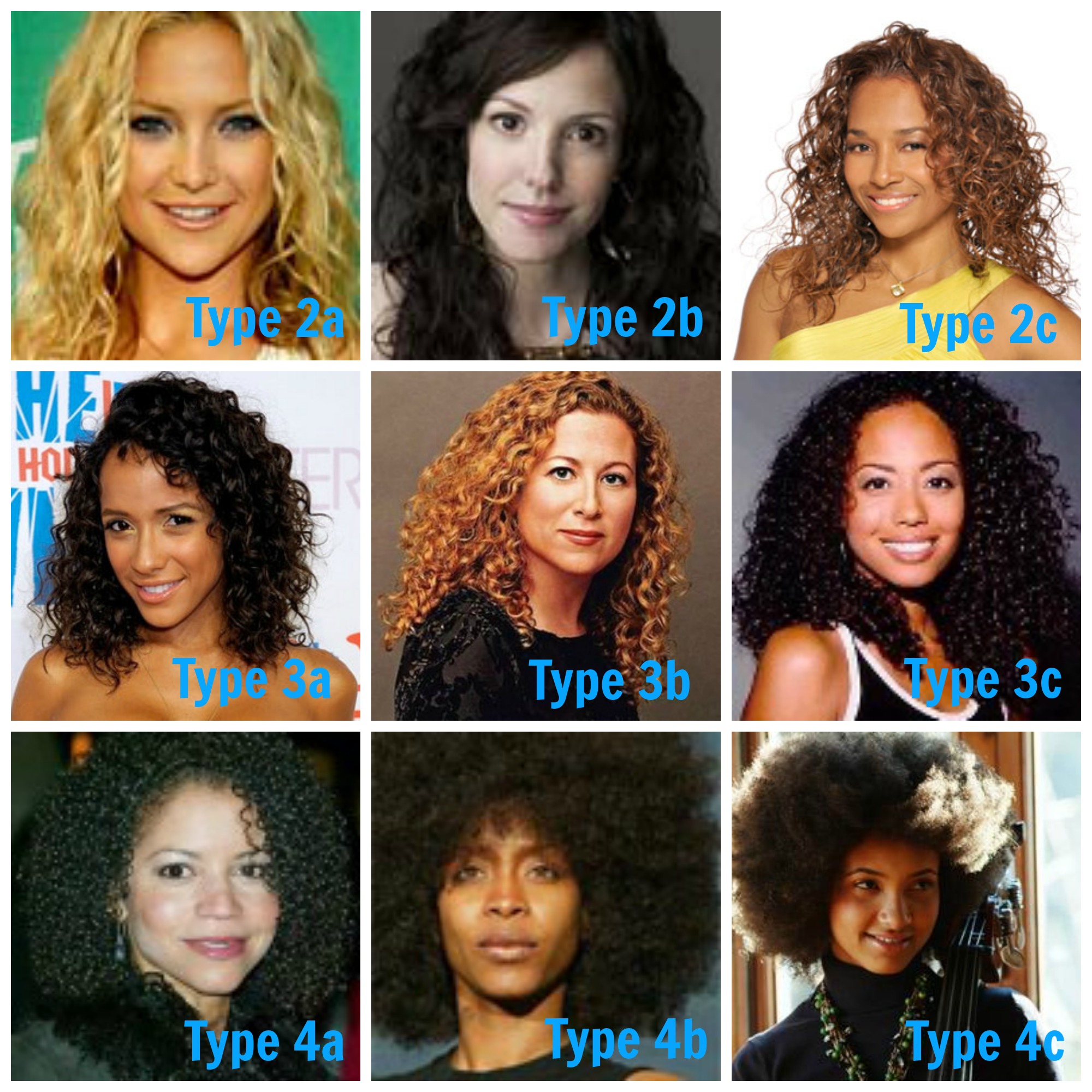 What is My Curl Type?– Natural Curls Club